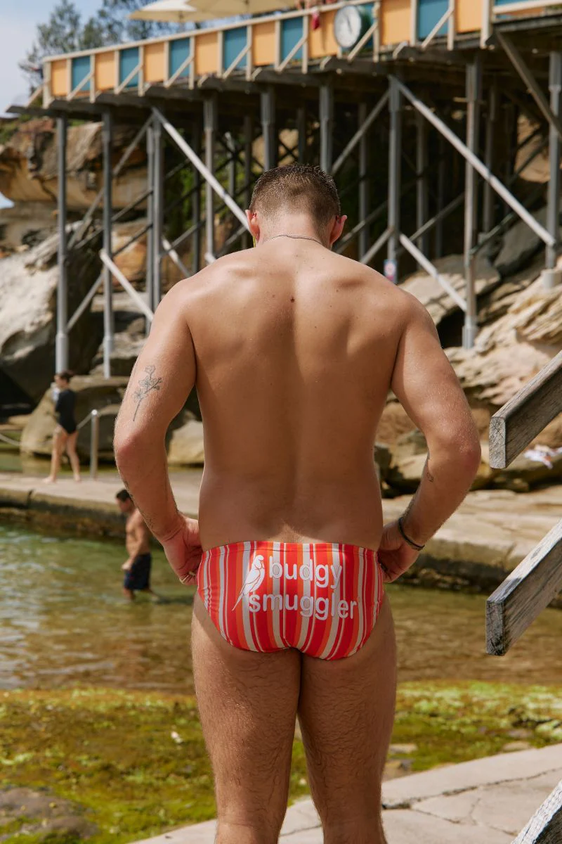 Orange Stripes - Image 3