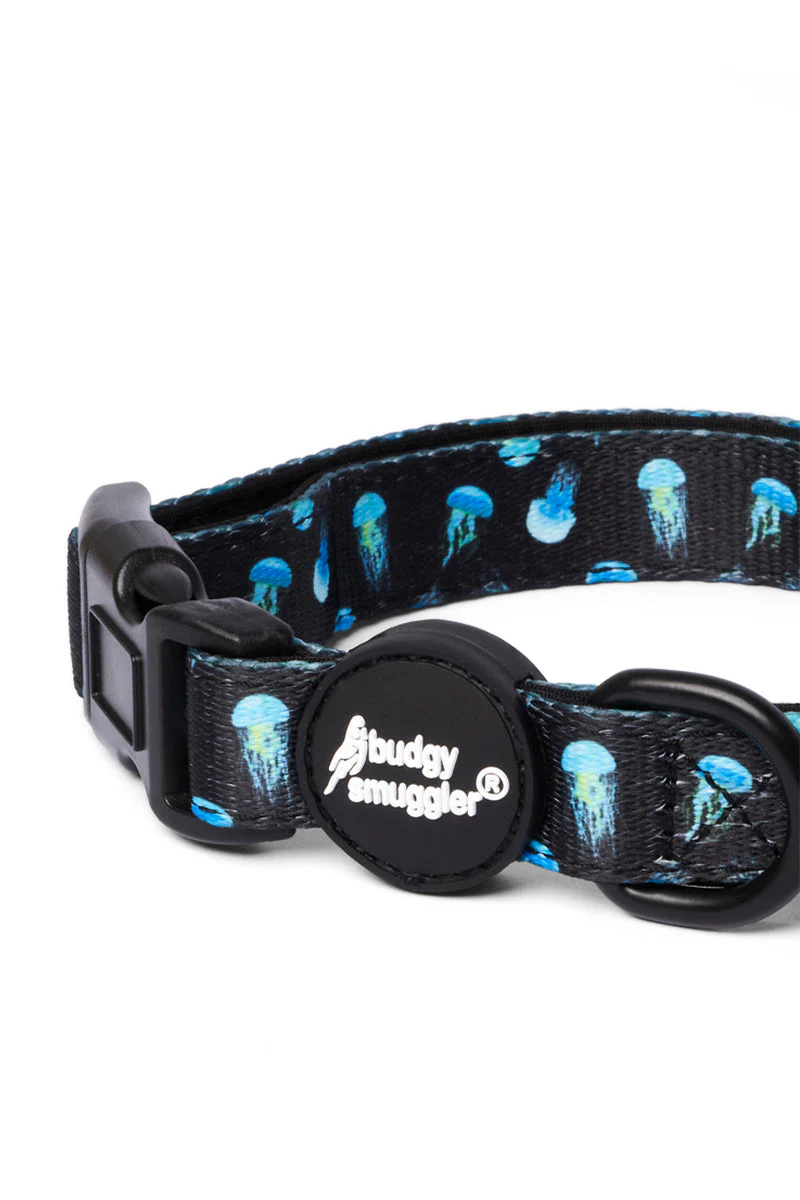 Pet Collar in Box Jelly Fish - Image 2