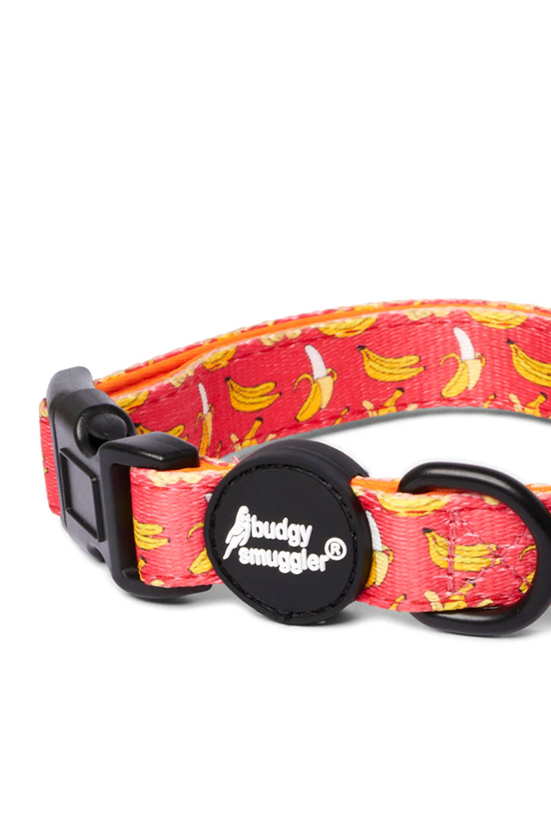 Pet Collar in Cool Bananas - Image 2