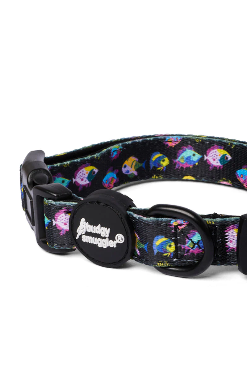 Pet Collar in Fishing for Compliments - Image 2