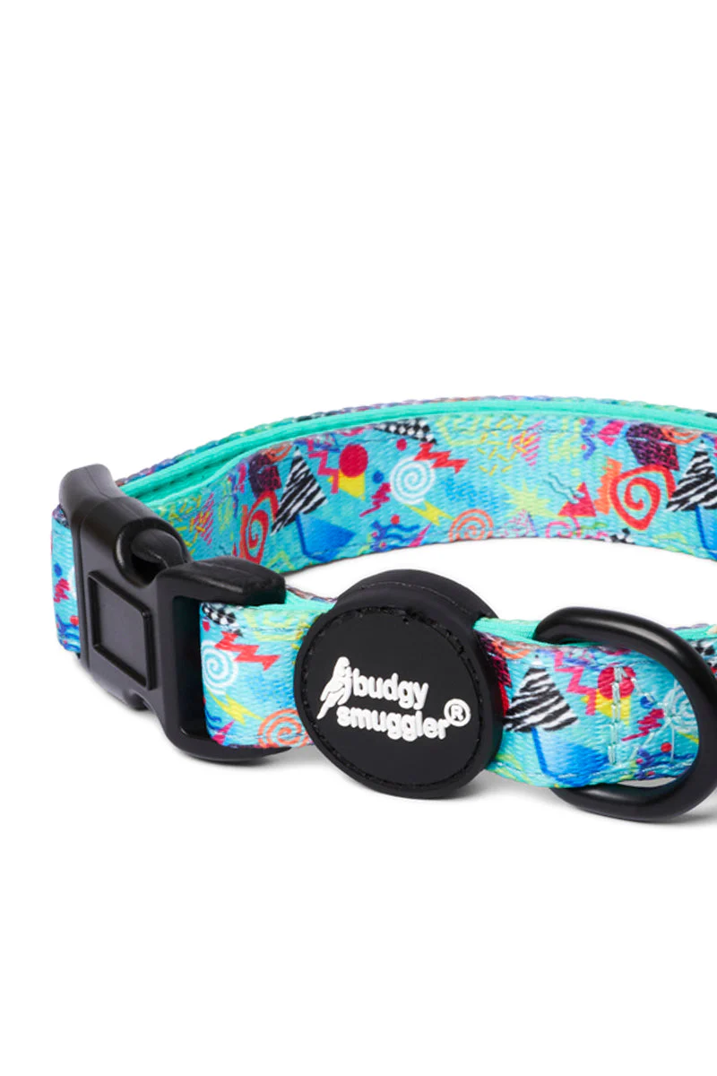 Pet Collar in Mr Motivator - Image 2