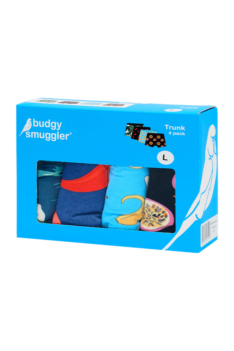 Men's Underwear Trunks 4 Pack in Winter