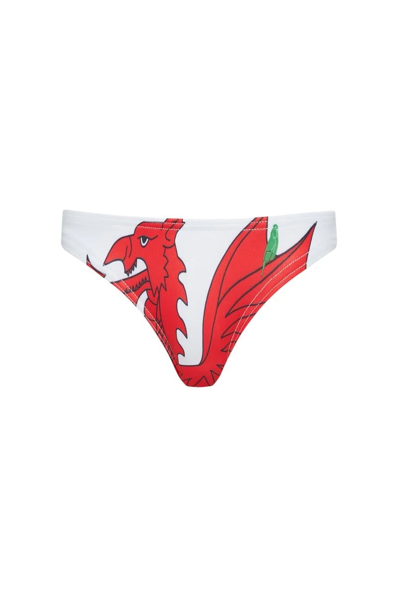 Shelly Bottoms in Welsh Flag - Image 2