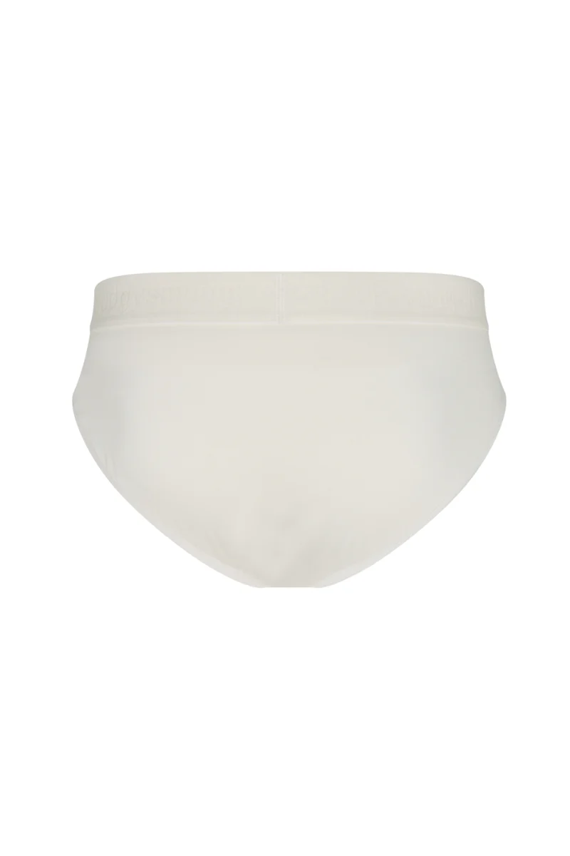 Men's Underwear Briefs in Tighty Whiteys - Image 6